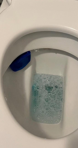 WC-Reinigung nach der Reinigung