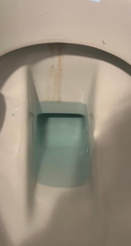 WC-Reinigung vor der Reinigung