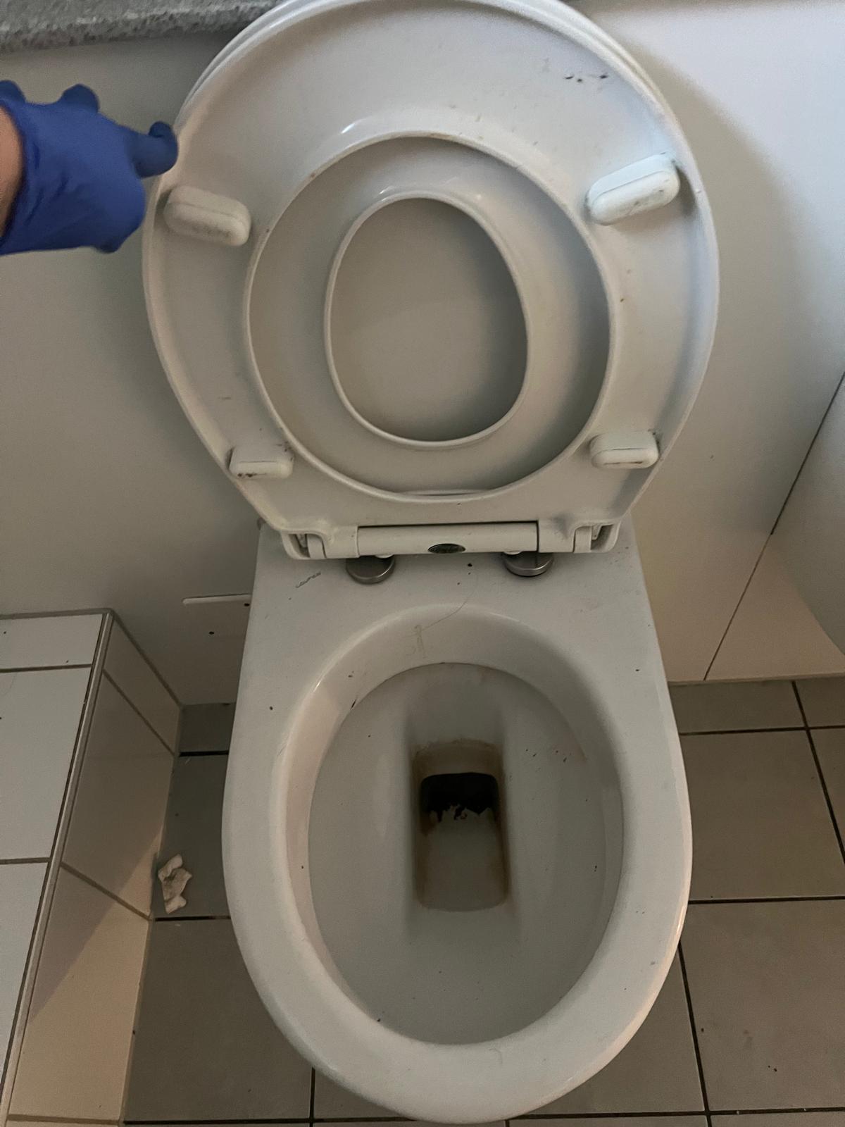 Sanitärreinigung vor der Reinigung
