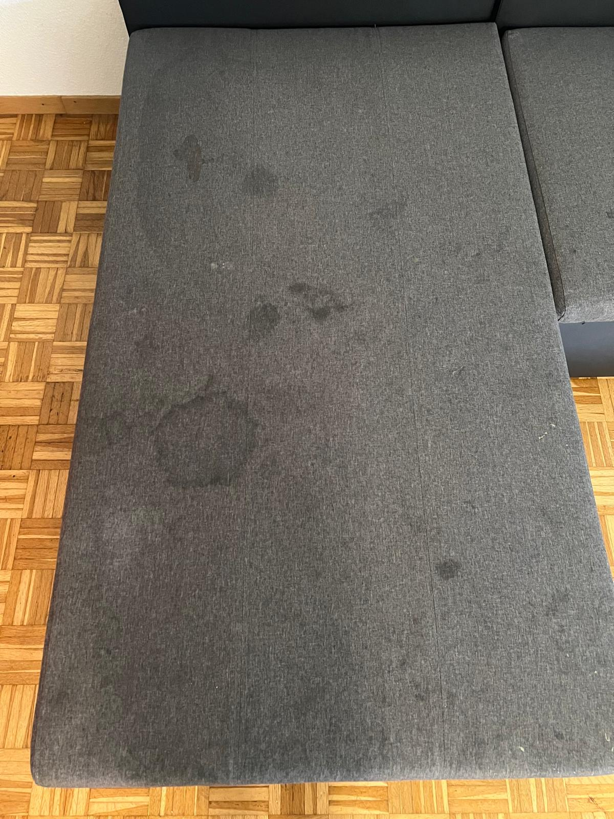 Sofareinigung vor der Reinigung
