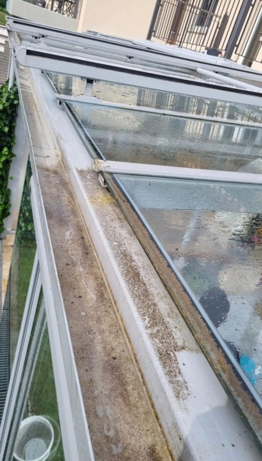 Glasdachreinigung vor der Reinigung